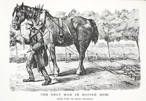 The Only Man in Rotten Row